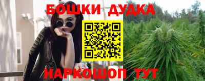 альфа пвп Волгодонск