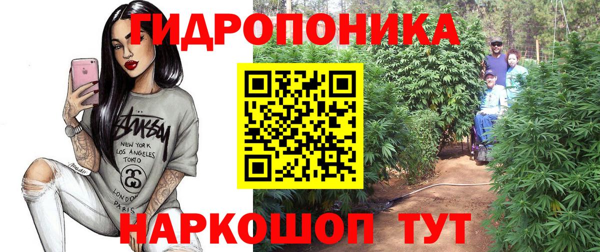 Бошки Шишки план  МАРИХУАНА марихуана  Бошки Шишки THC 21%  Нефтекамск  Вход с VPN 